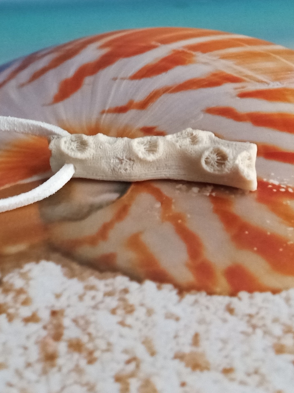 Mermaid's Kiss ~ Coral Necklace ~ Siren Song